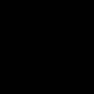 Meet your Posher, Eva